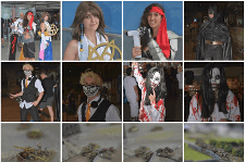 Artenso "Porocamara"